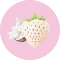 White Strawberry & Coconut[bundle]